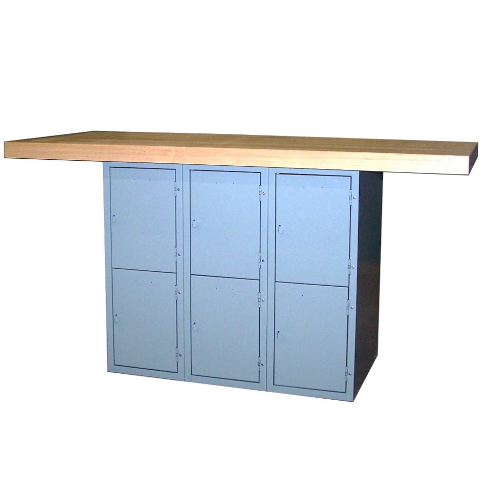 Two Station Vertical Shop Locker Workbench