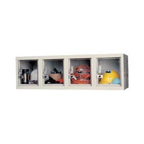 Safety View Wall Mount Locker