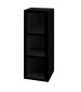 15 Wide Three Compartment Plastic Cubby Lockers Black