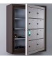 Aluminum pistol locker with master door