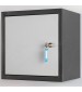 Home pistol locker gray