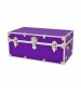 Purple Large Sticker Trunk