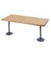 15" Wide Locker Room Benches with 2 Pedestals